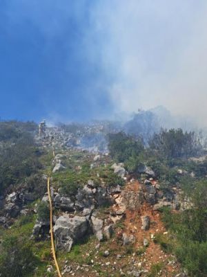 Ac&atilde;o de fogo controlado